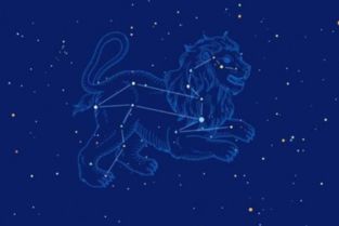 8月幾號什么星座